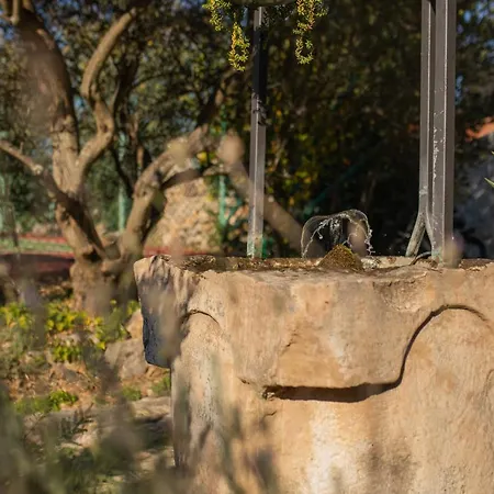 Anica&jaglica Semesterbostad Bristane