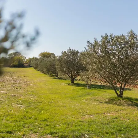 Holiday home Peace Oasis & Active Near Krka *